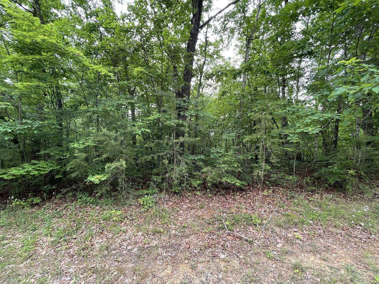 440 St George Drive - Photo 1