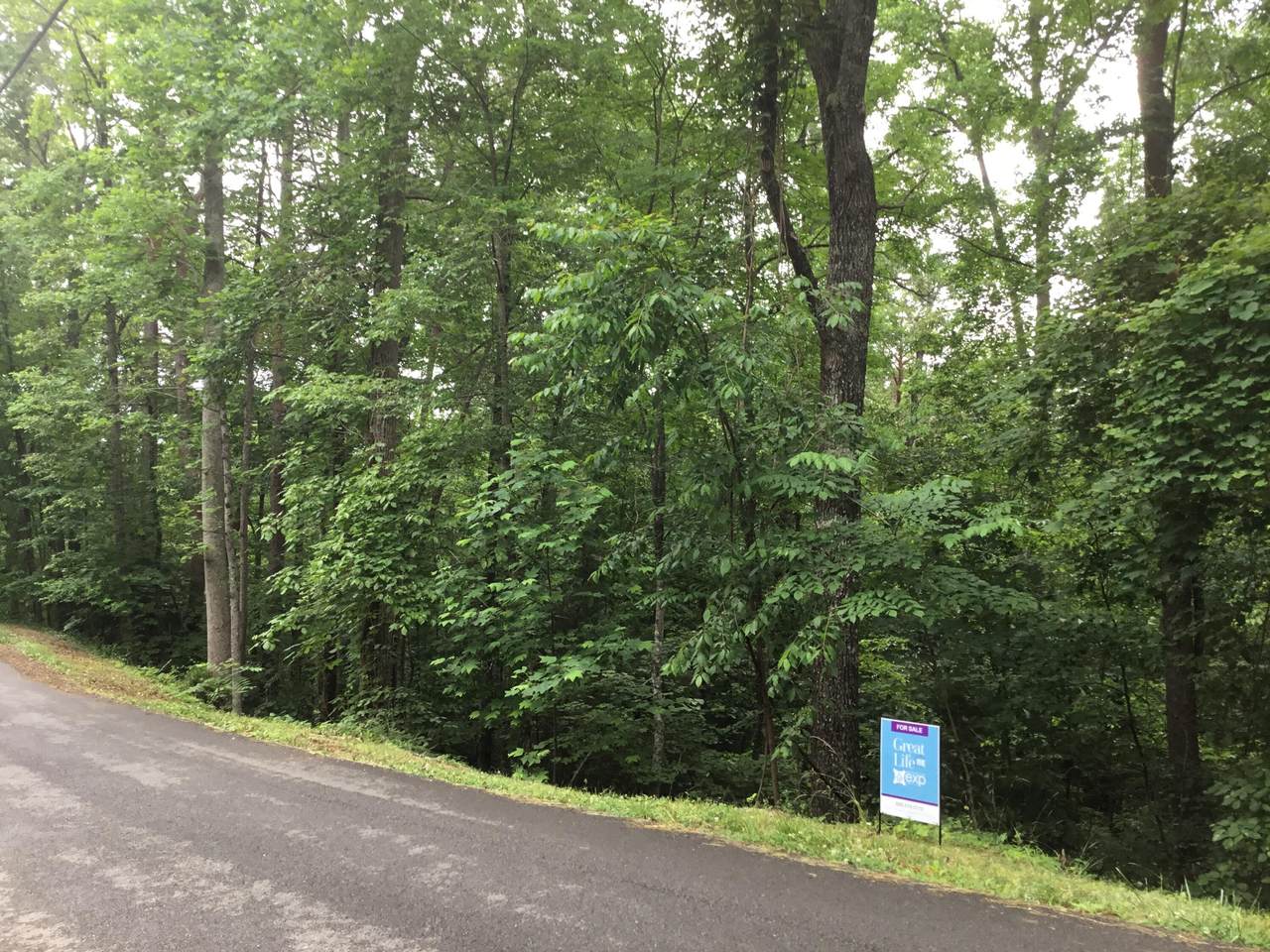 Mountain View Rd - Photo 1