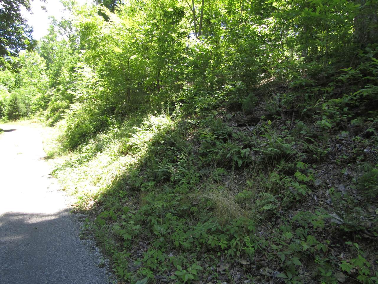 LOT 5 Simple Life Road - Photo 1