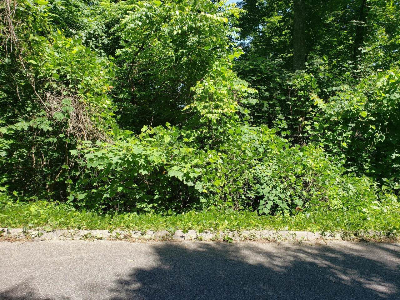 Country Mountain Rd - Photo 1