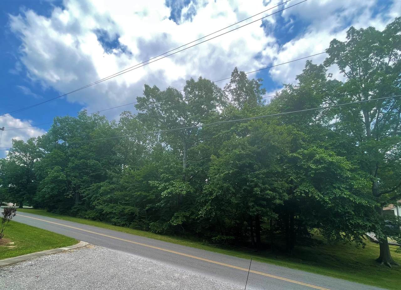 2001 Cravens Drive - Photo 1