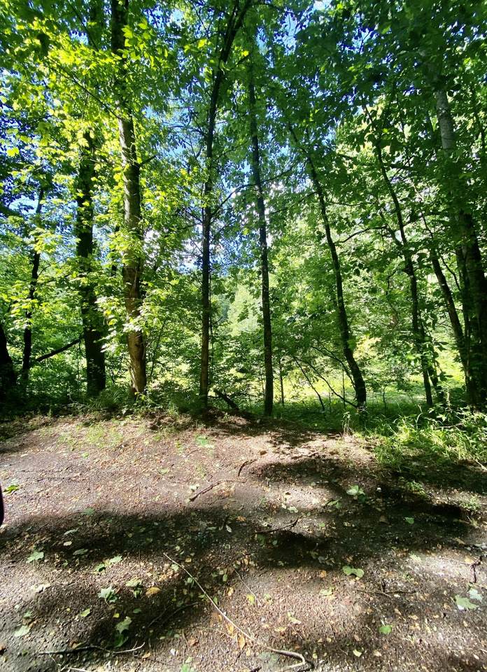 Earls Hollow Rd - Photo 1
