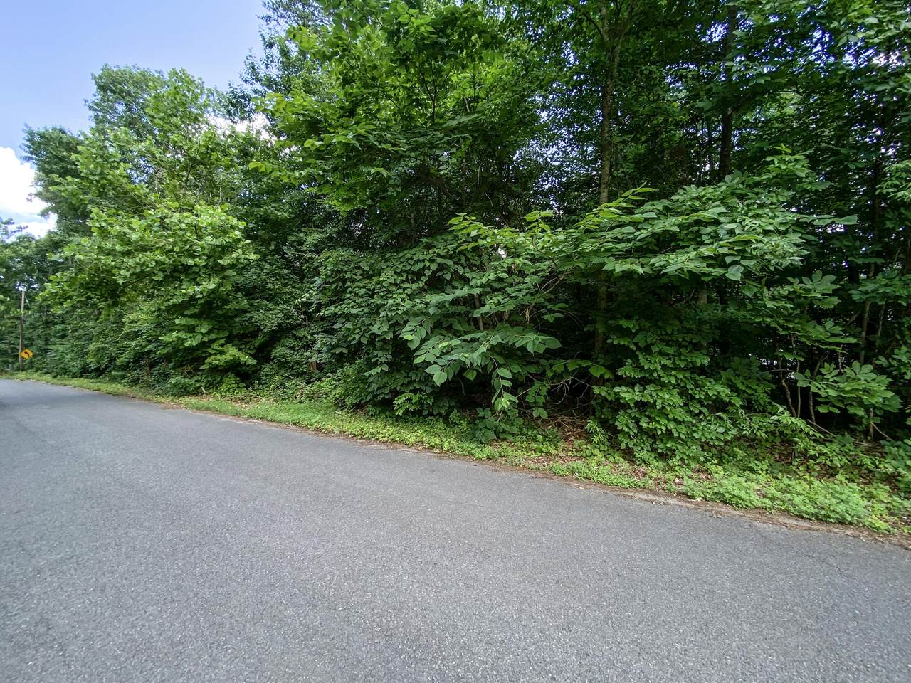 Lots 5&6 Hiwassee Riviera Estates - Photo 1