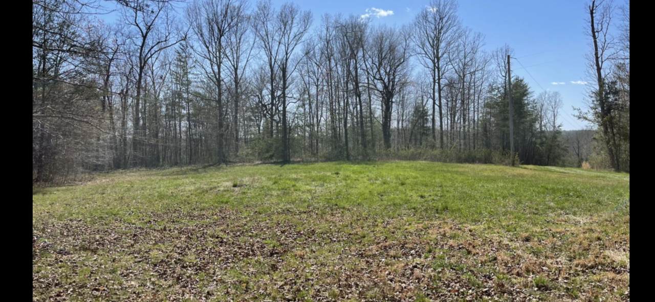 Crest View Drive - Photo 1
