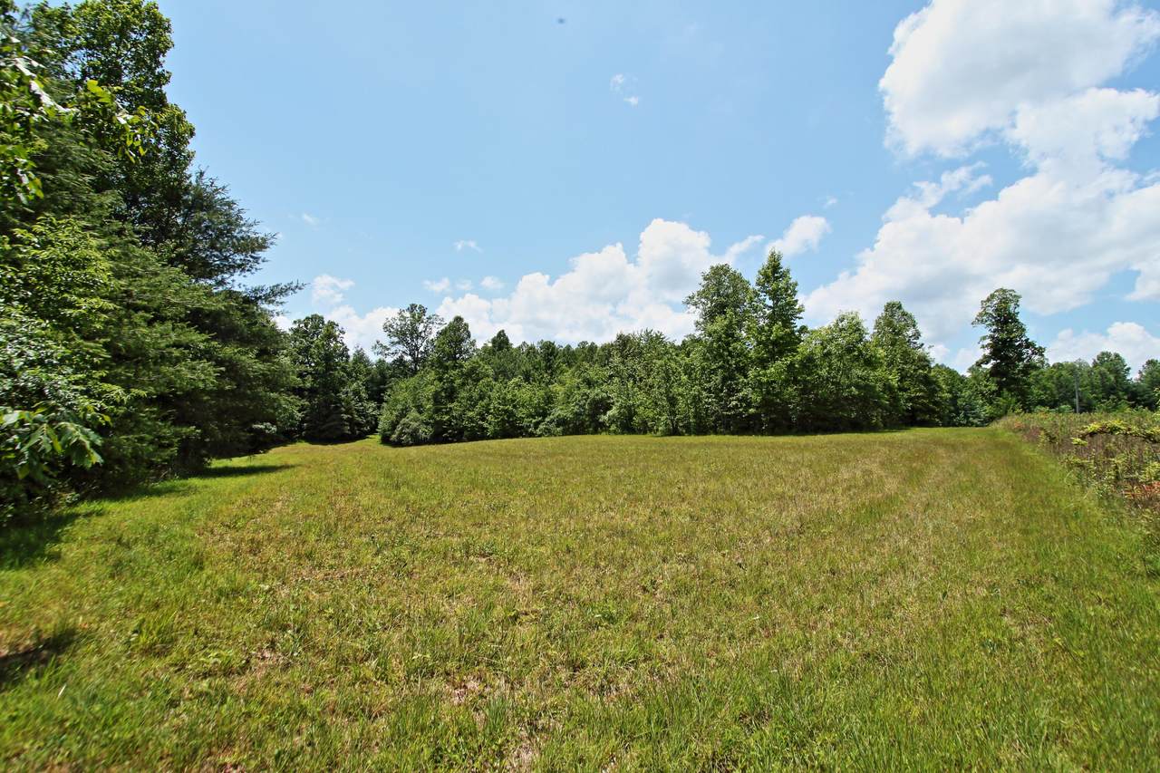 17.7 Ac Walnut Hill Rd - Photo 1