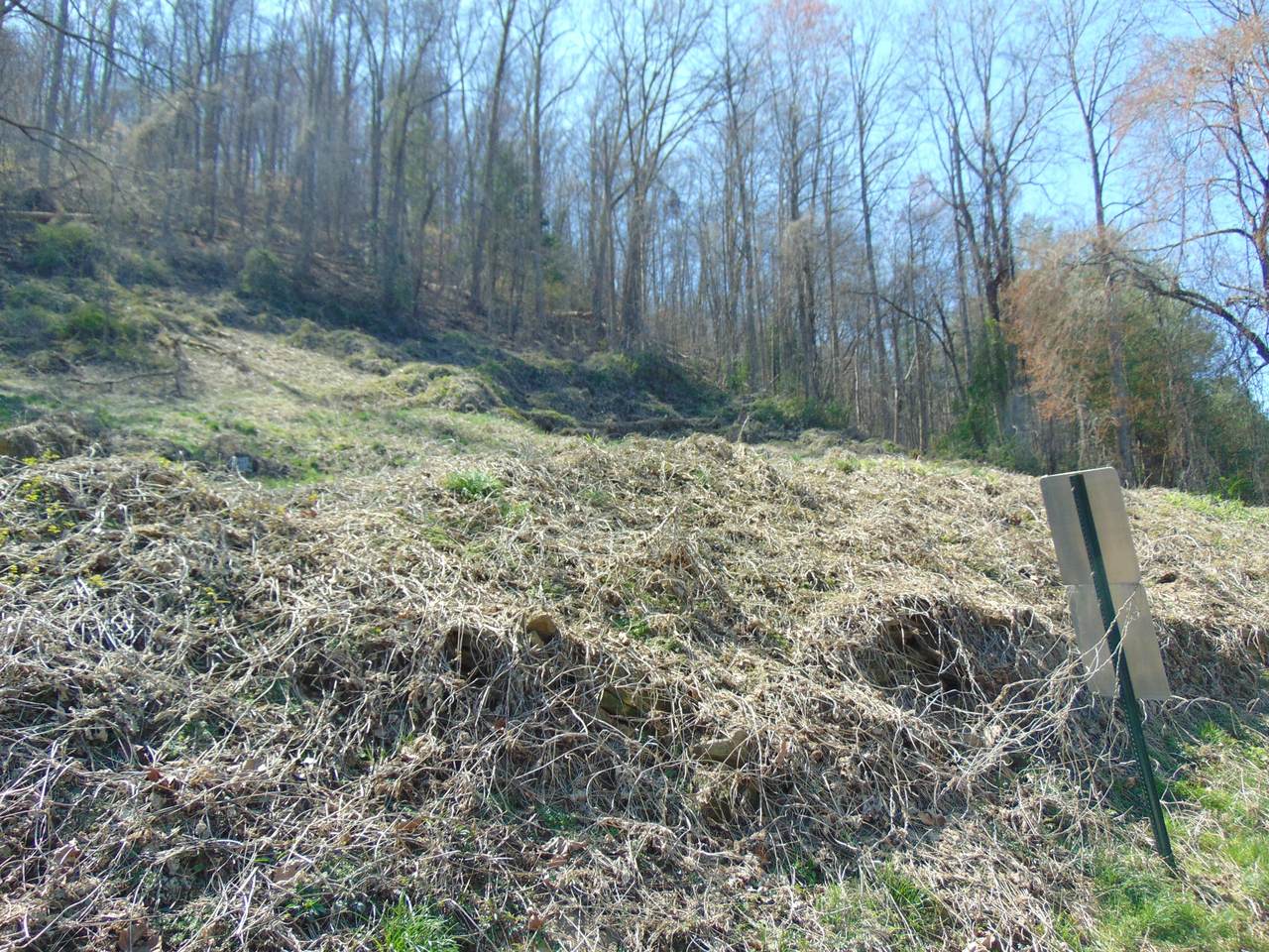 134 Walnut Lane - Photo 1