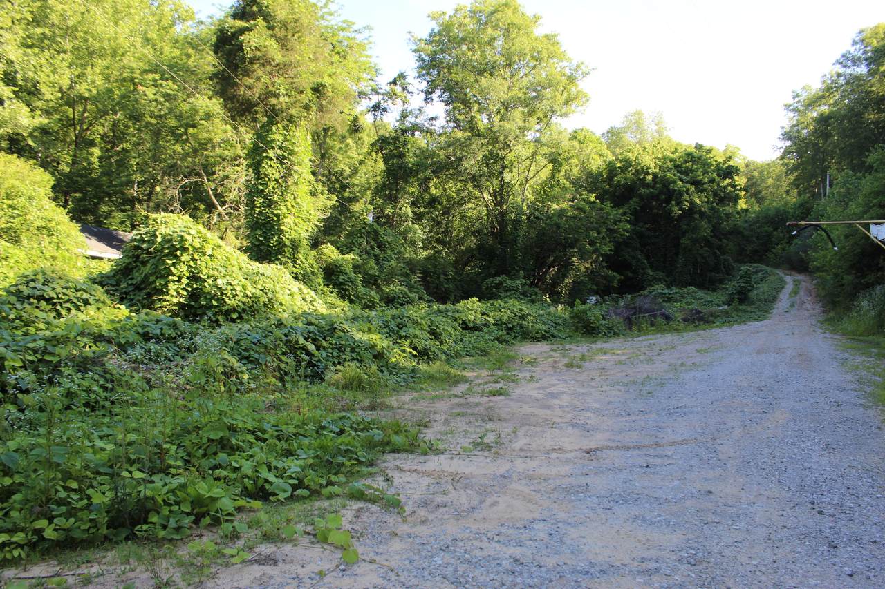 15968 Highway 190 - Photo 1