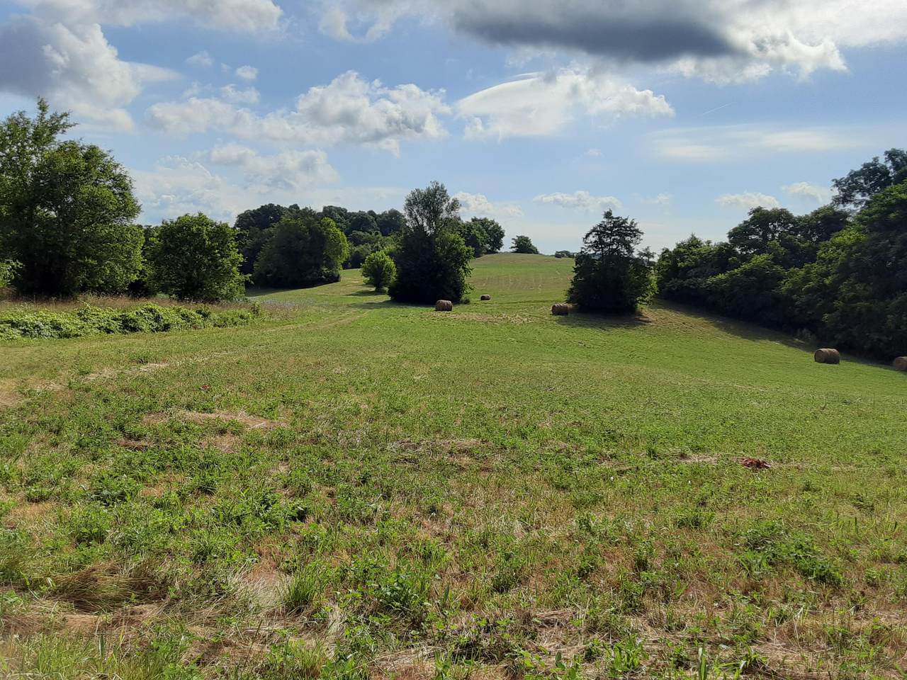 Lot 28 Forgety Rd - Photo 1