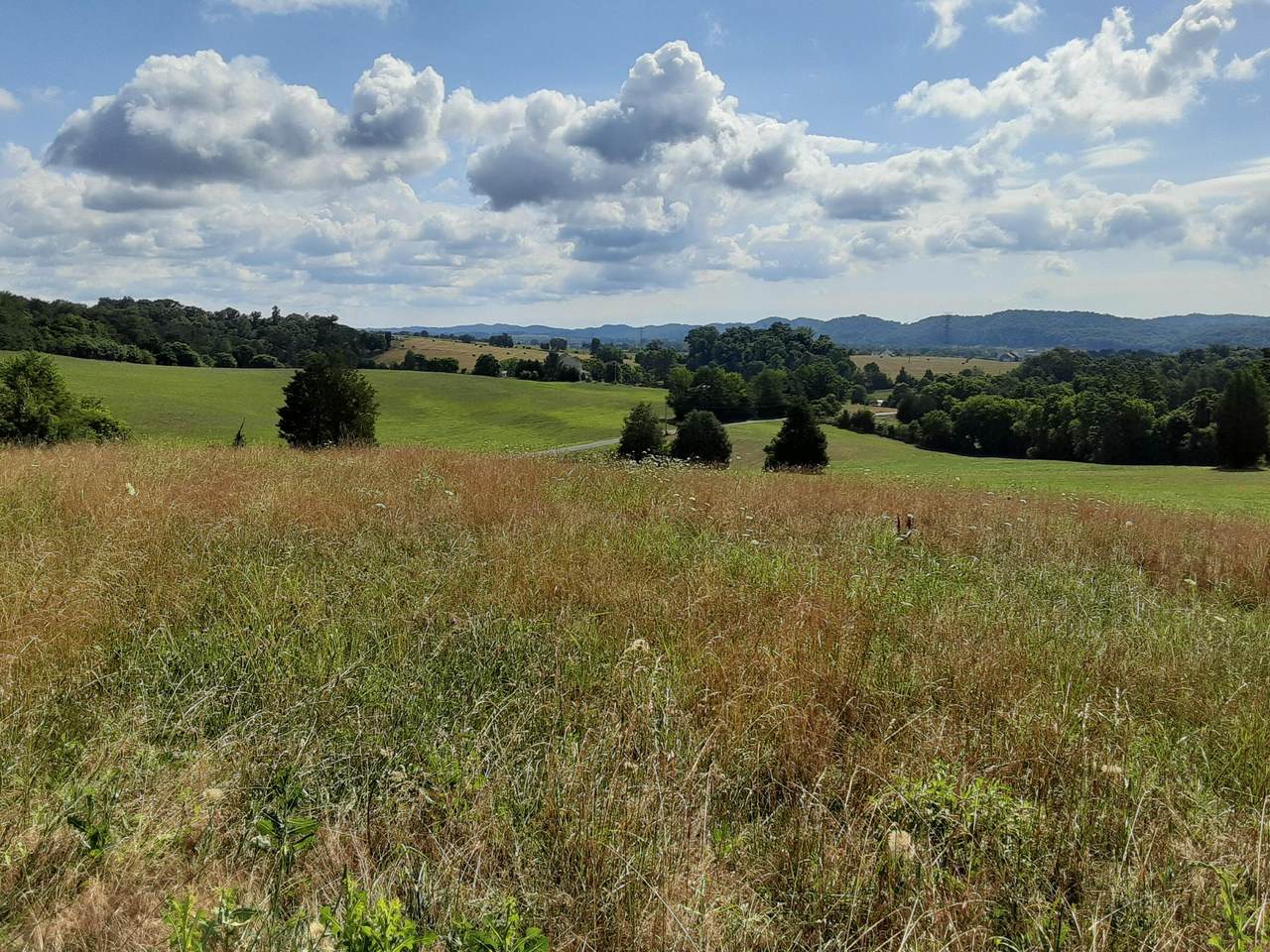 Lot 36 Forgety Rd - Photo 1