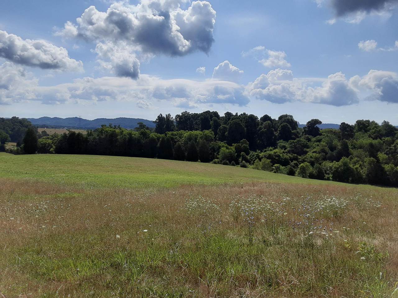 Lot 34 Forgety Rd - Photo 1