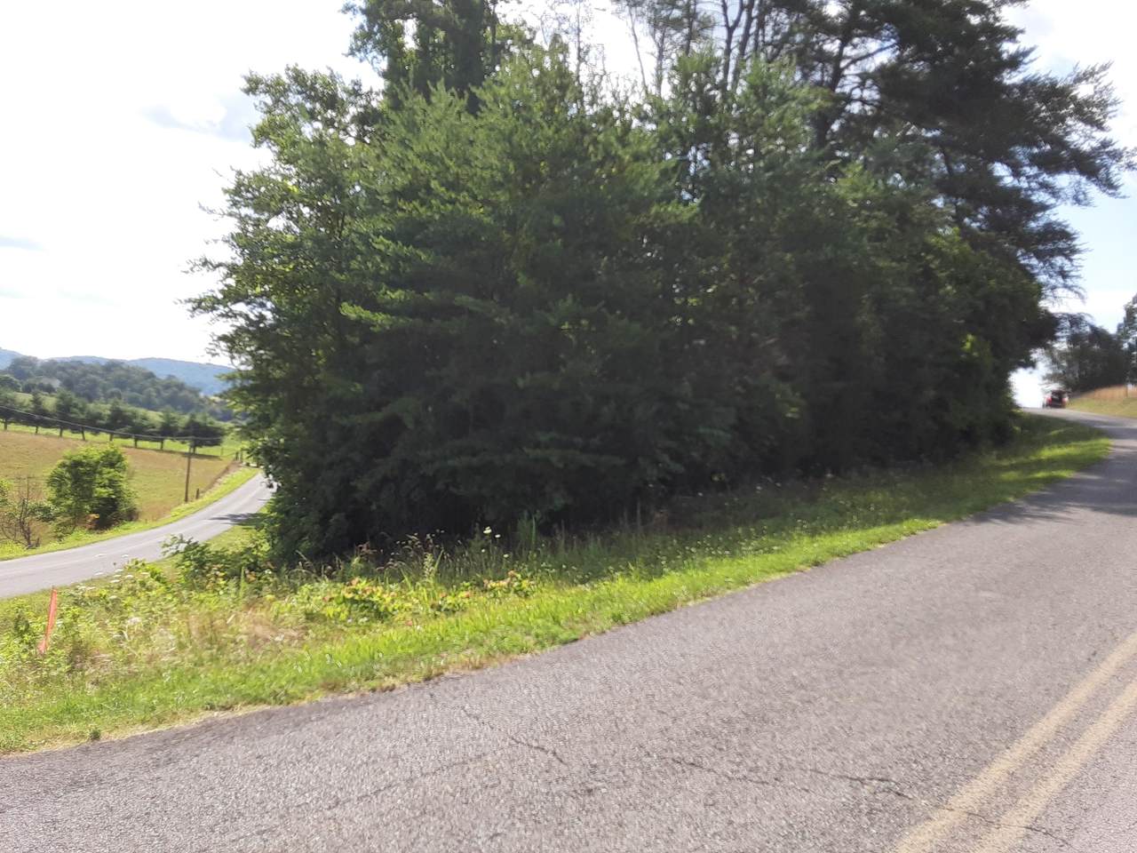 Lot 37 Forgety Rd - Photo 1