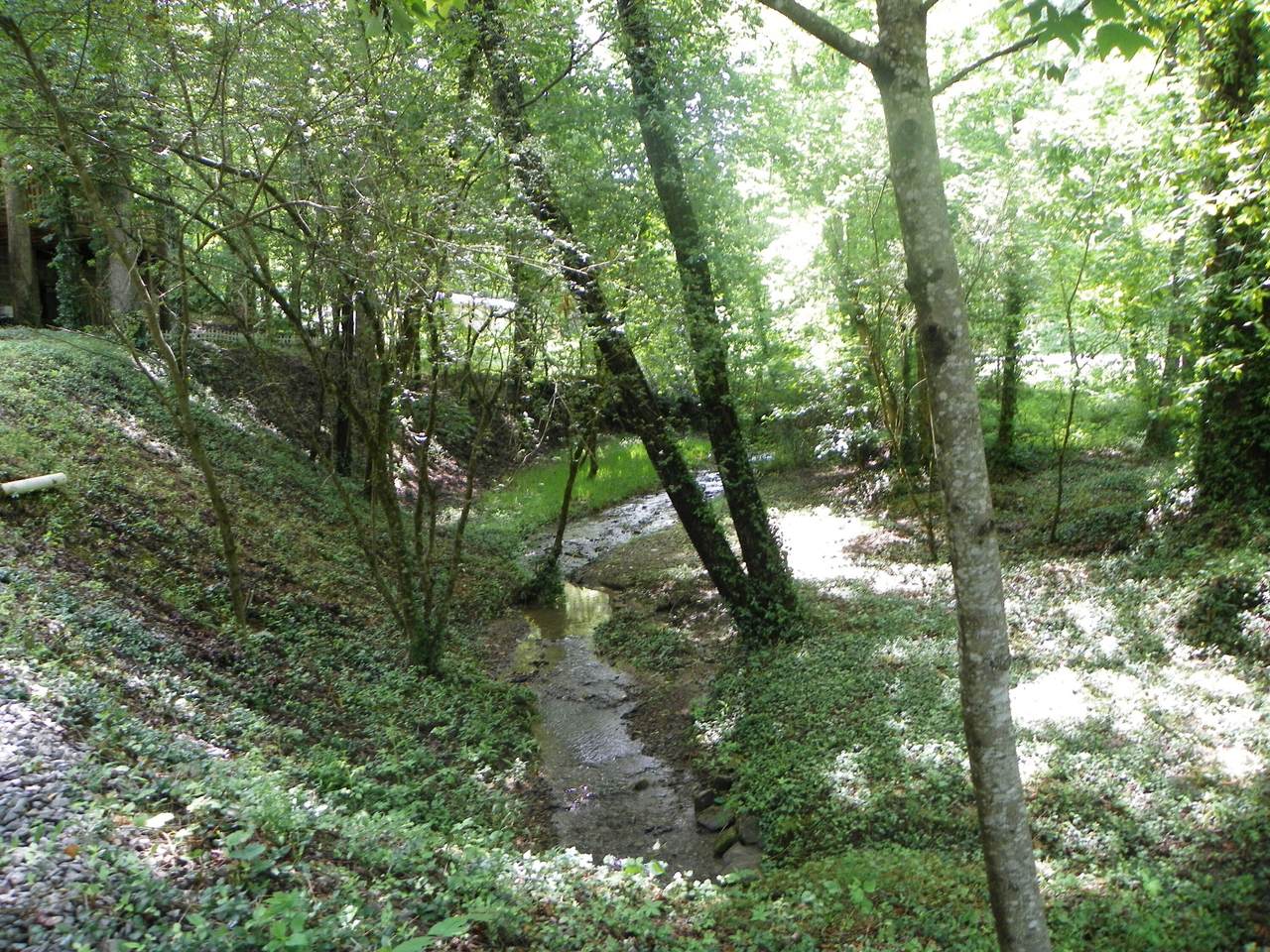 430 King Rd - Photo 1