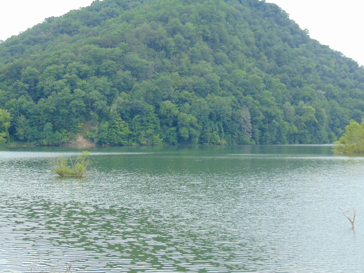 Raven Fork Rd. Rd - Photo 1