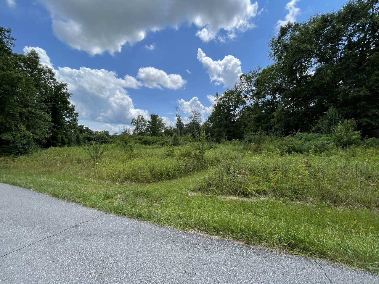 Pineway - Photo 1
