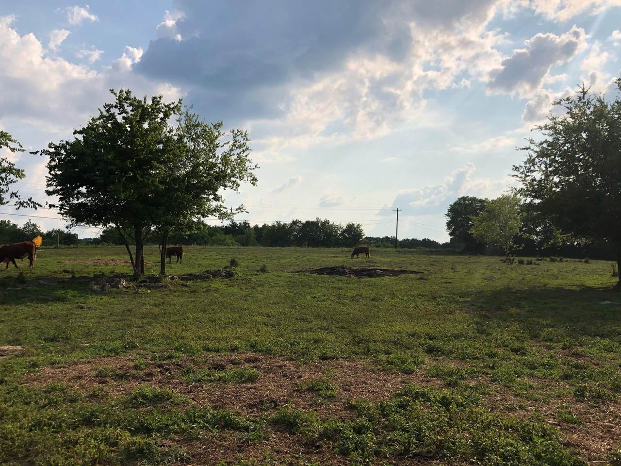 1580 Rocky Valley Rd - Photo 1
