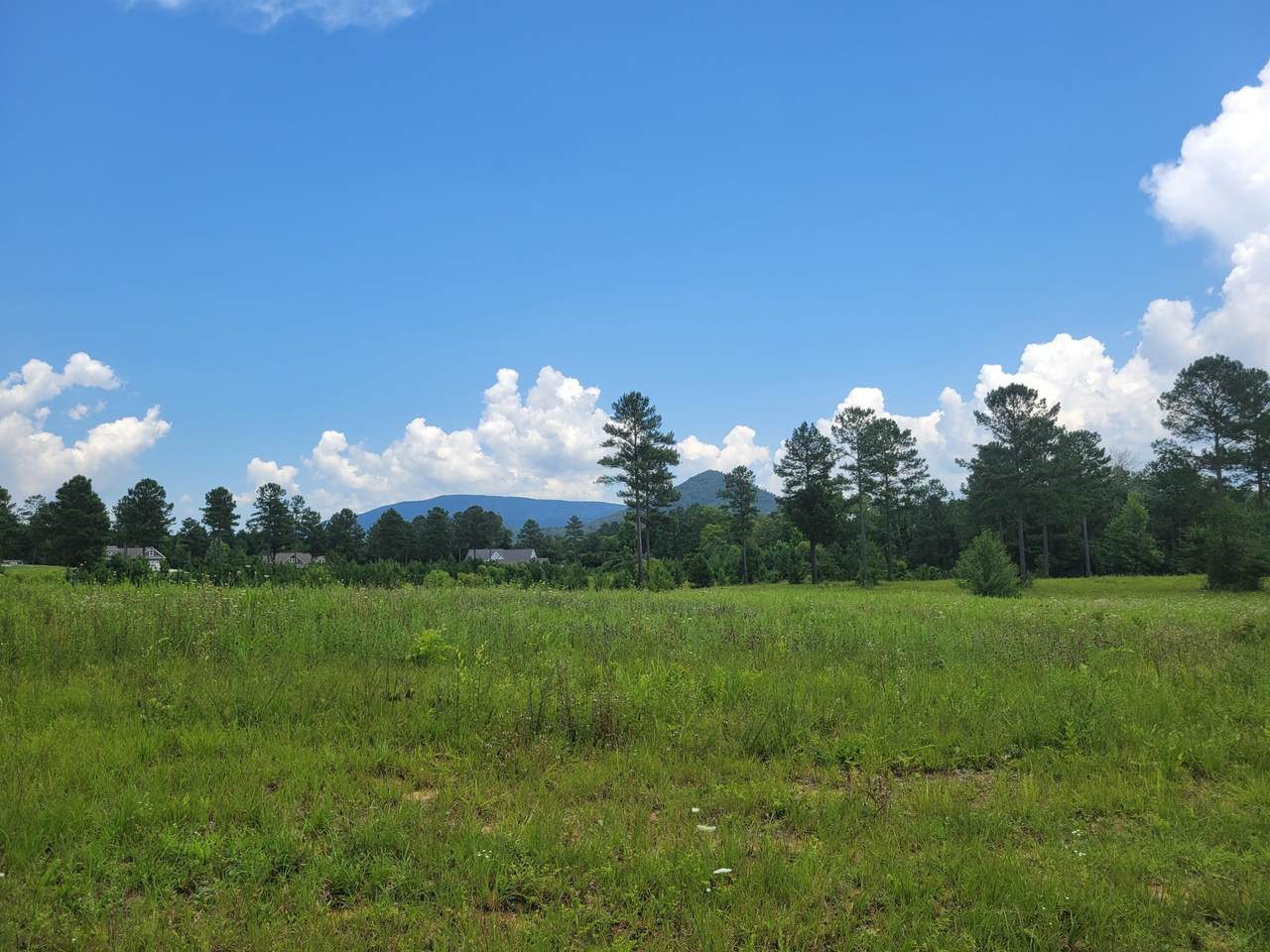 117 Quail Lane - Photo 1