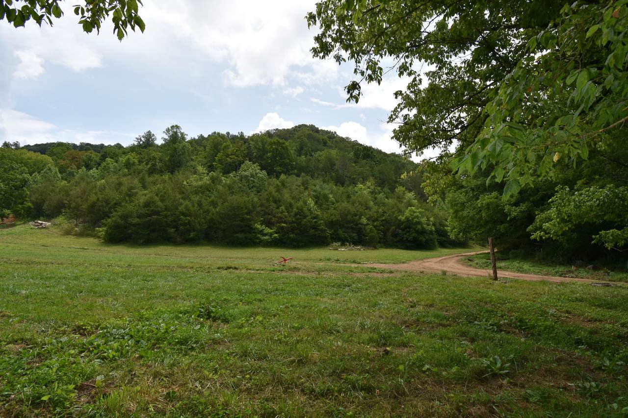 2516 Stoney Fork Rd - Photo 1