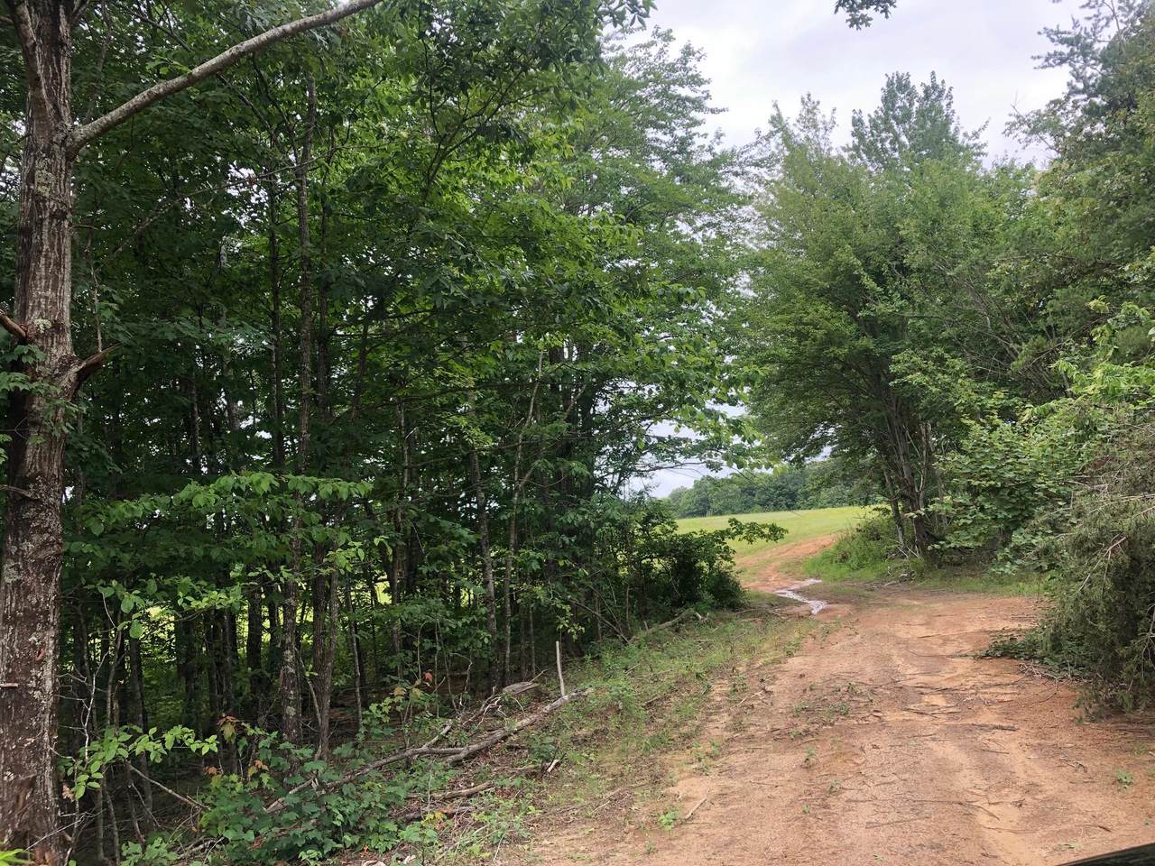 Clark Lane - Photo 1