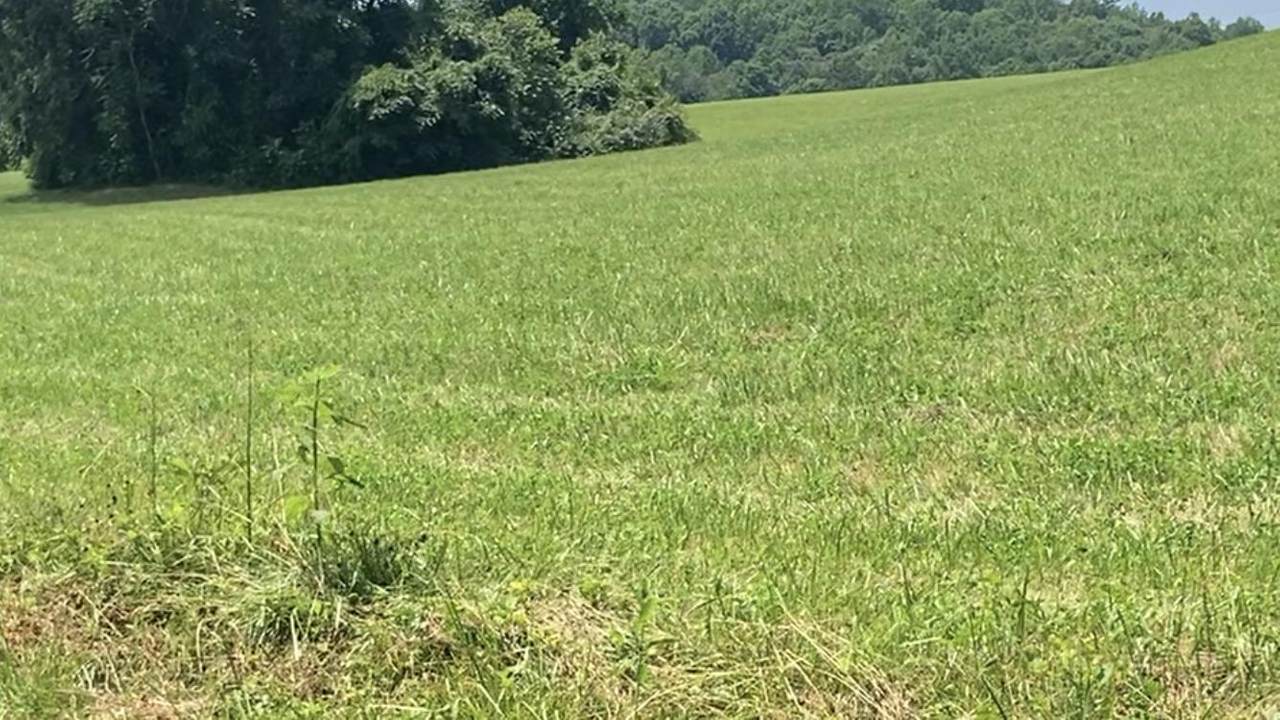 Stiner Rd - Photo 1