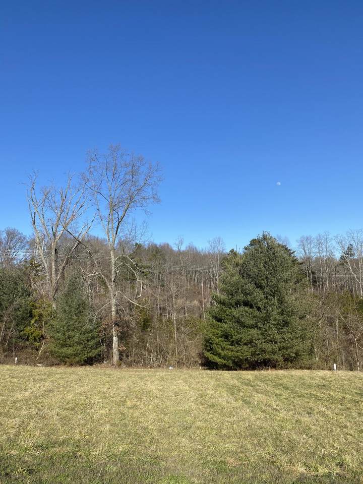 8322 Campbells Point Rd - Photo 1