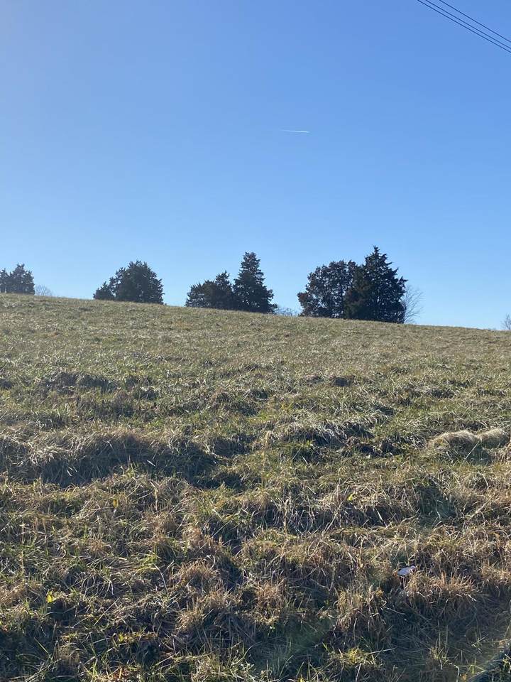 0 Campbells Point Rd - Photo 1