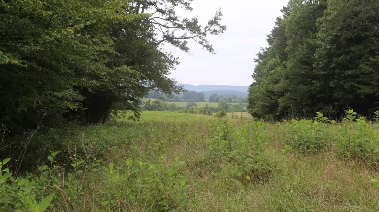 42.98 Acre Mars Hill Road - Photo 1