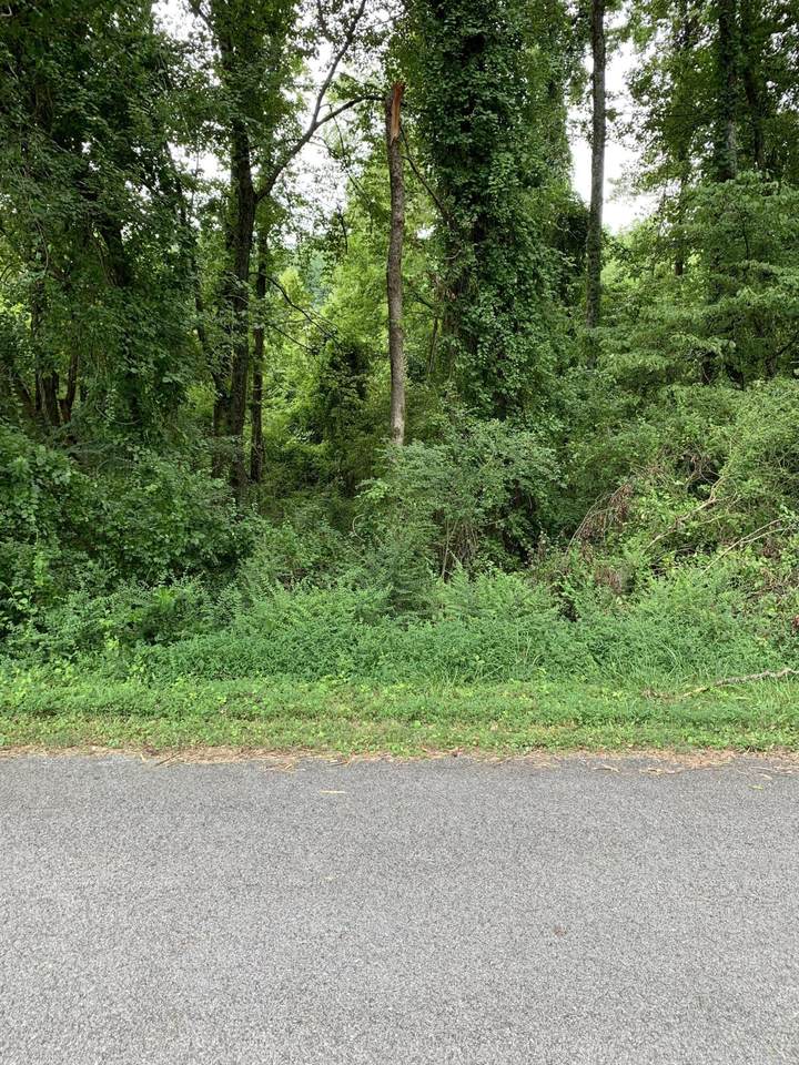 1241 Spring City Hwy - Photo 1