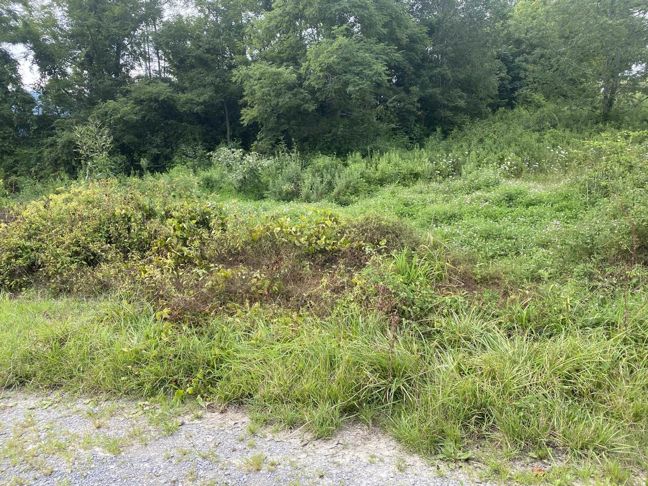 Dr Thomas Walker Rd - Photo 1