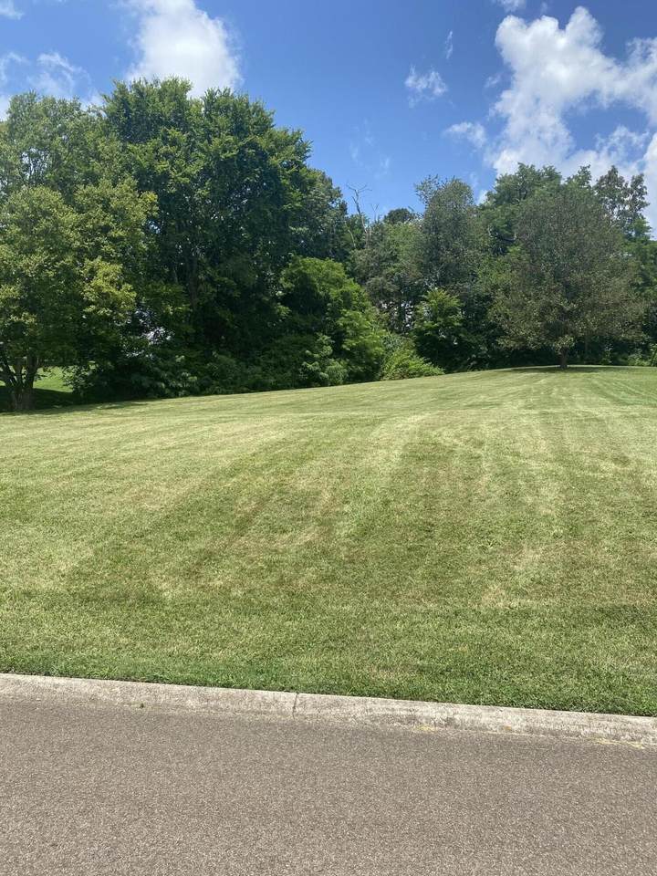 Scenic View Drive - Photo 1