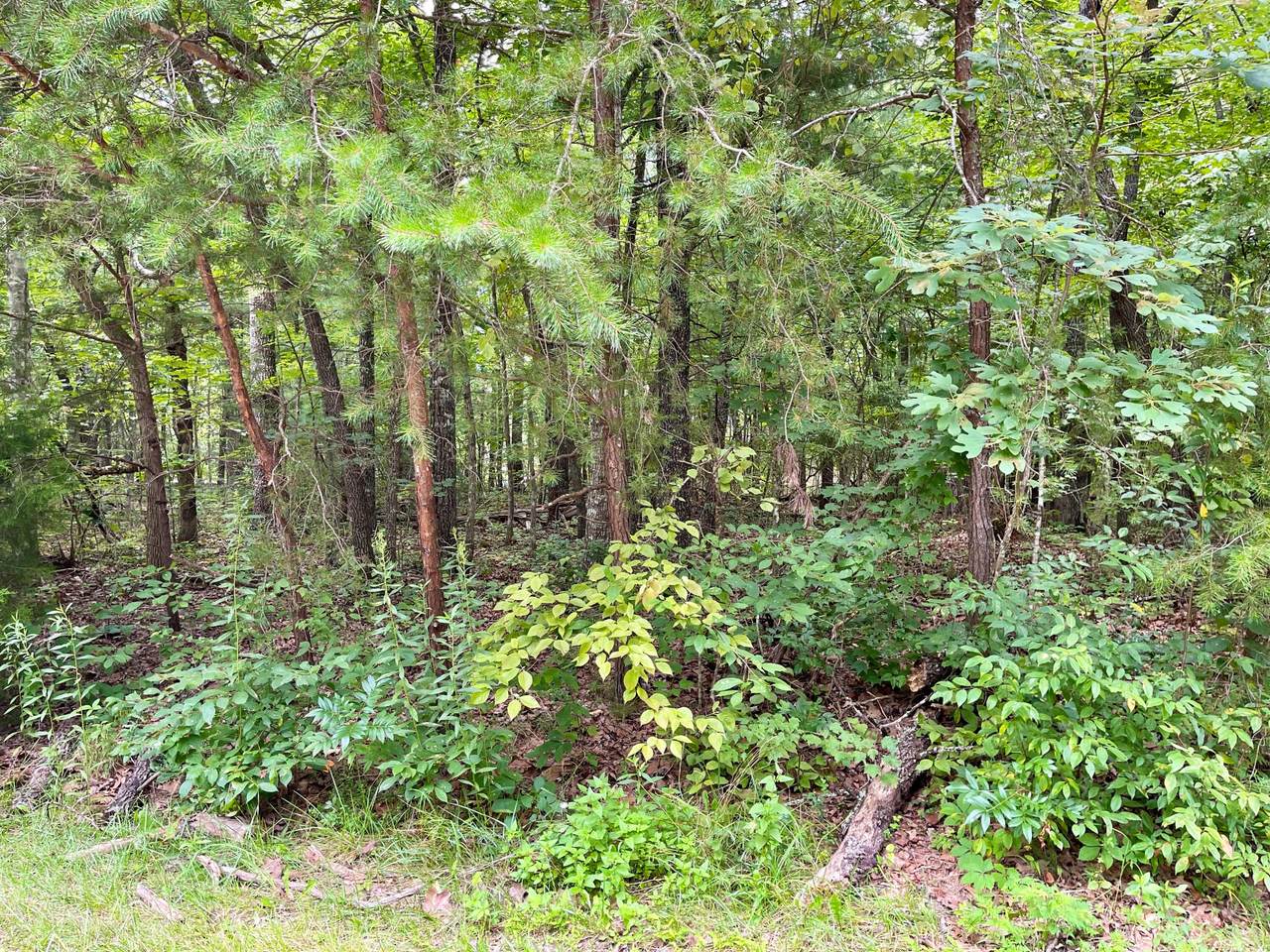 247 Pomeroy Drive - Photo 1