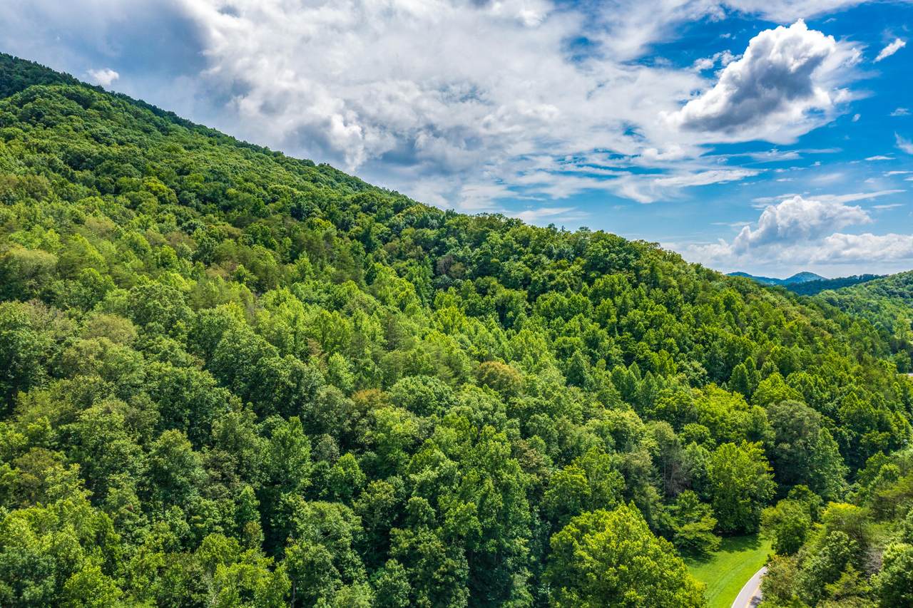 Spruce Pine (330 Acres) Rd - Photo 1
