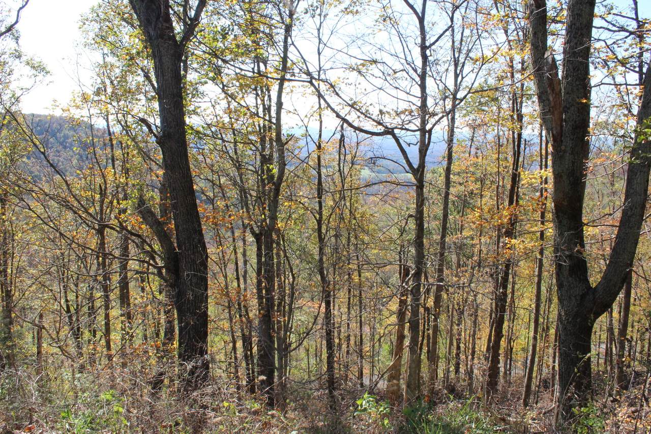 Double Top Rd - Photo 1