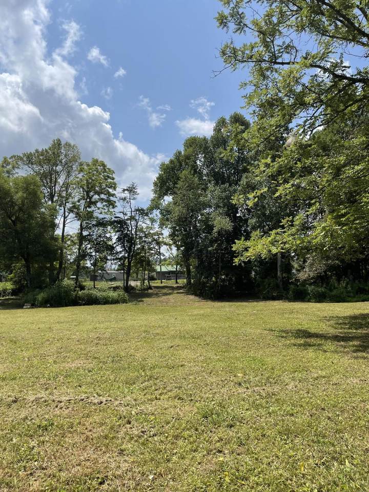 13008 Hwy 70 N - Photo 1