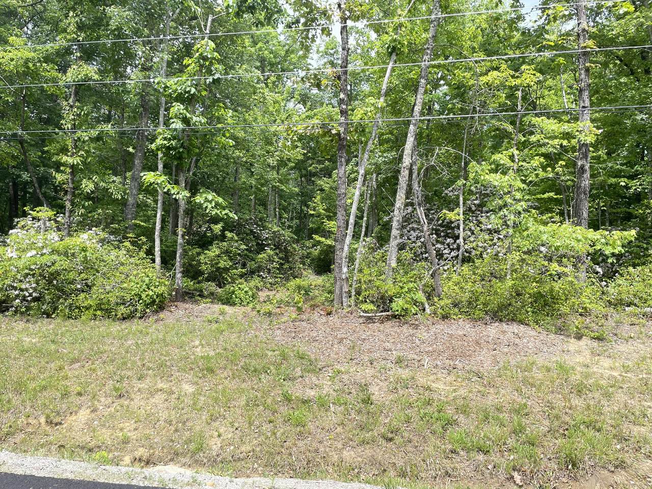 Tanner Drive - Photo 1