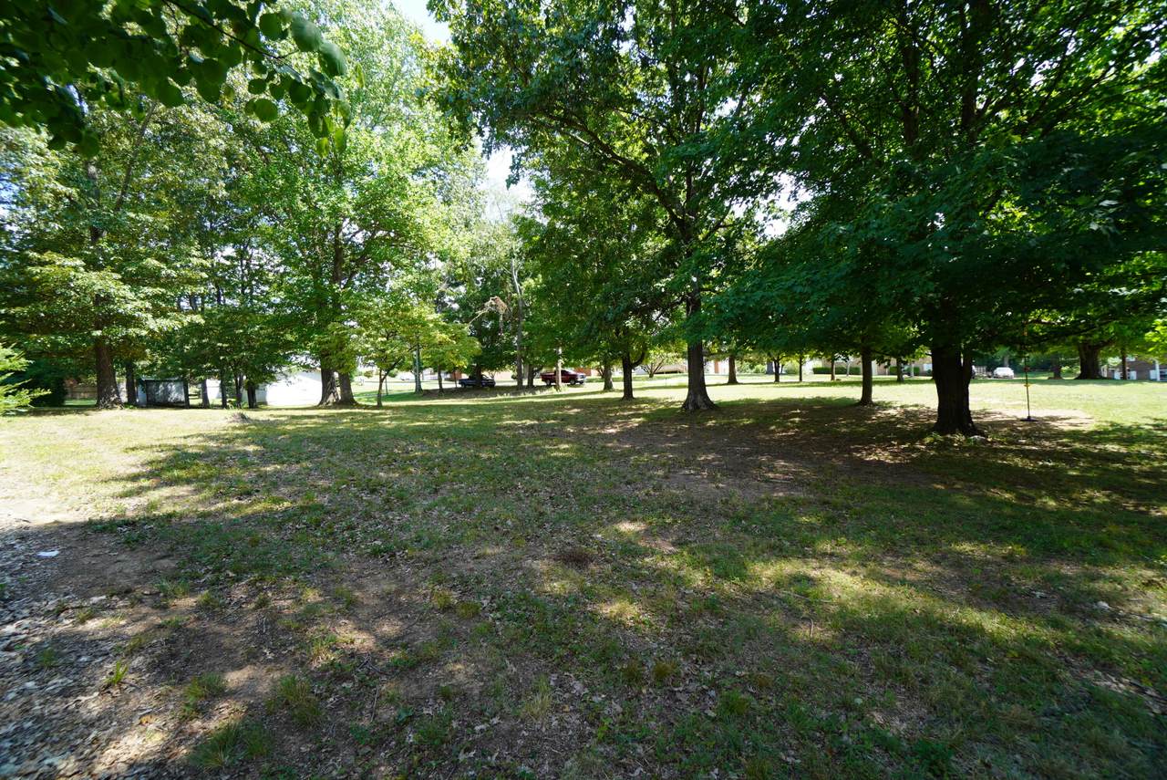 Lot 30 Buckingham Drive - Photo 1