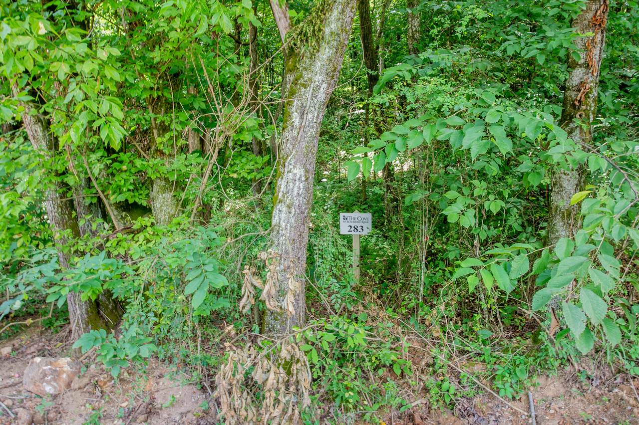 4485 Huffine Rd - Photo 1