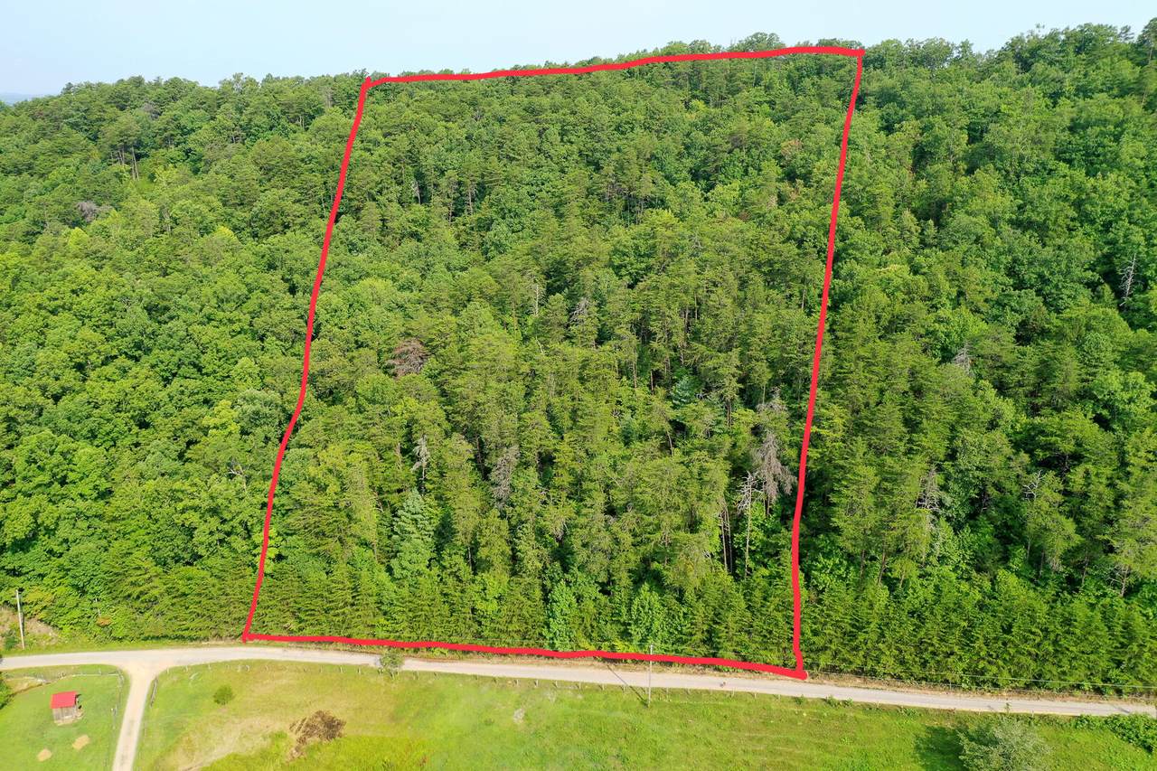 Butterfly Hollow Rd - Photo 1