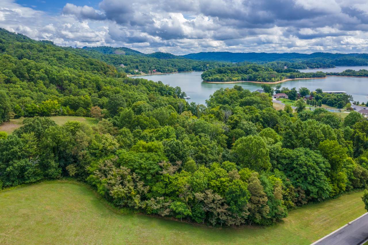 Lot 208 Harbor View - Photo 1