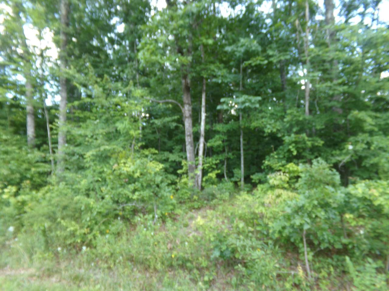 8934 Cherokee Tr - Photo 1