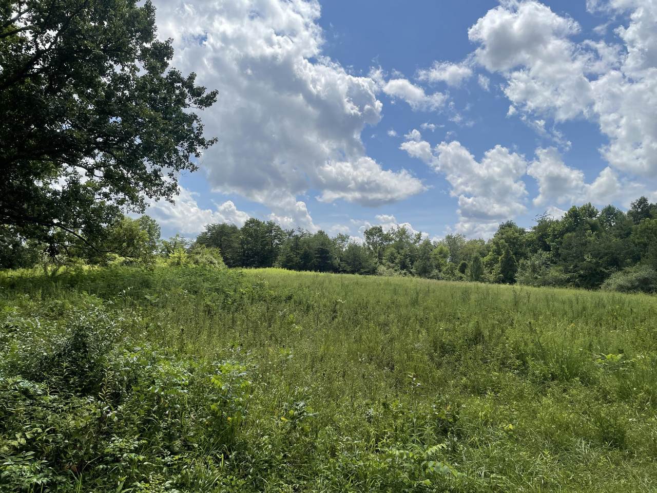 Mcghee Rd - Photo 1