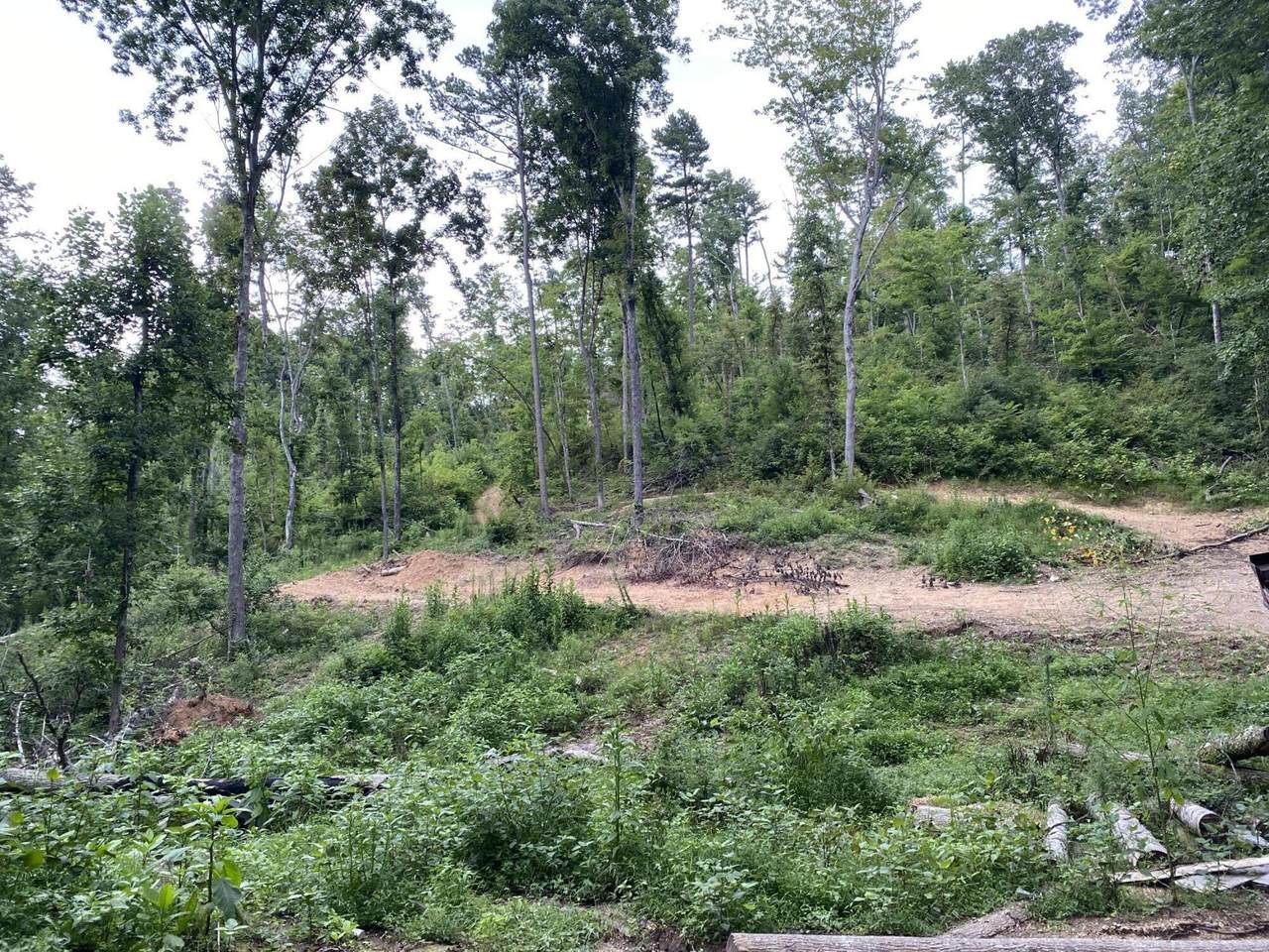 Pinecrest Rd - Photo 1