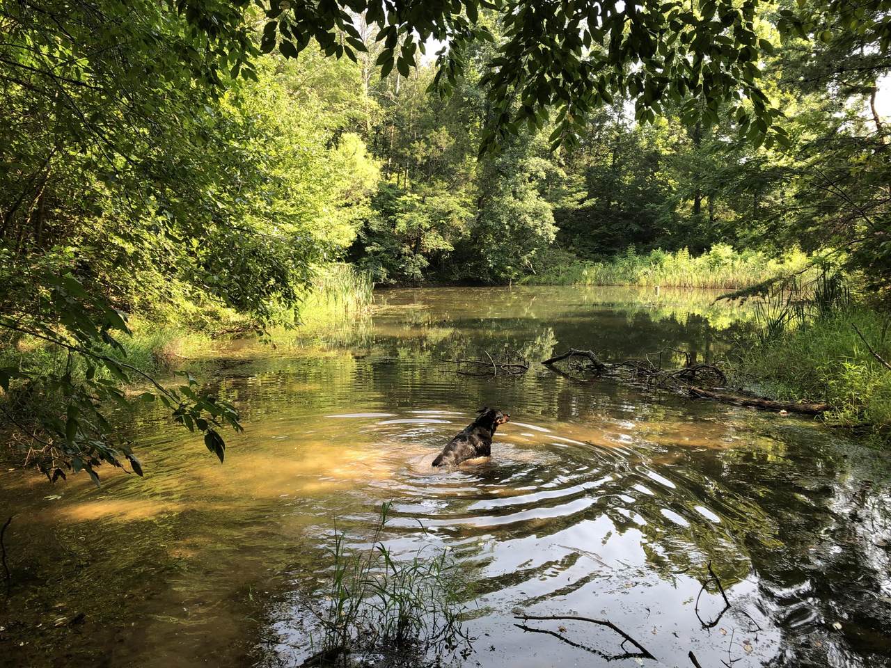 Welch Rd - Photo 1