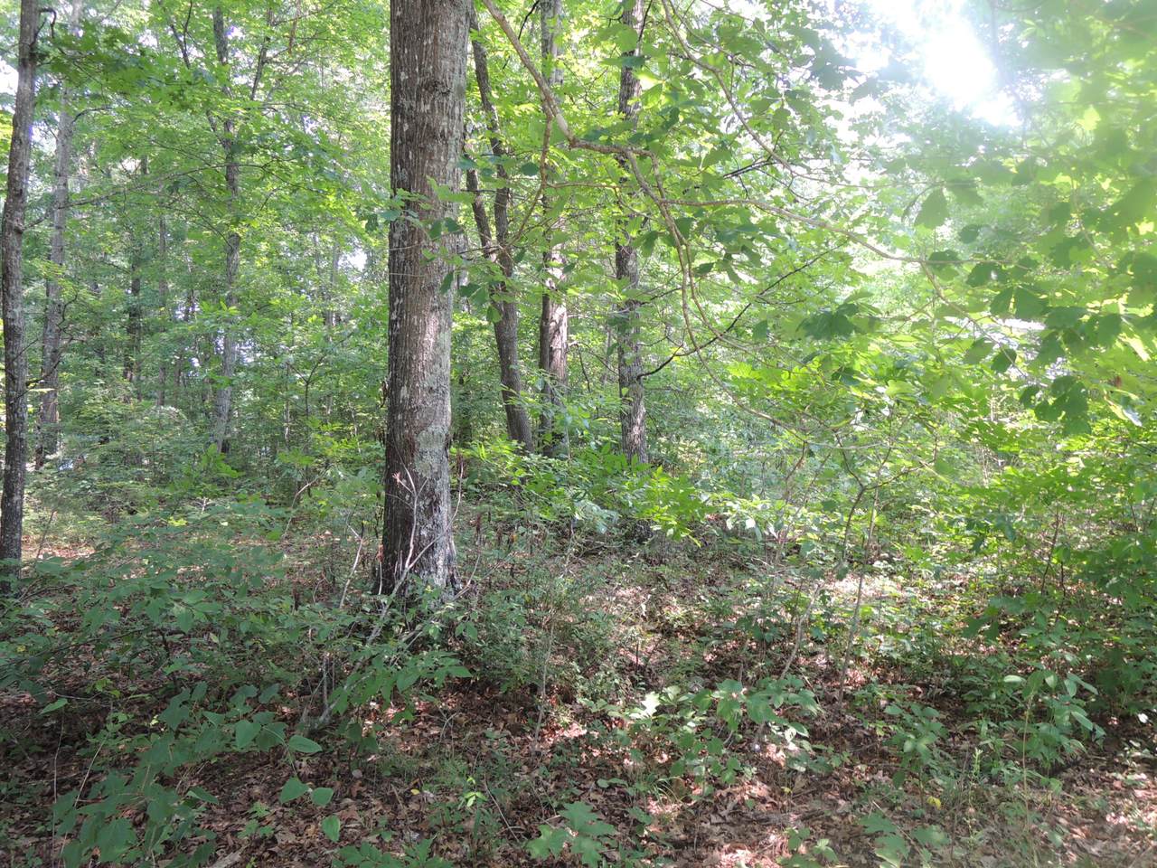 Robert Beaty Road - Photo 1