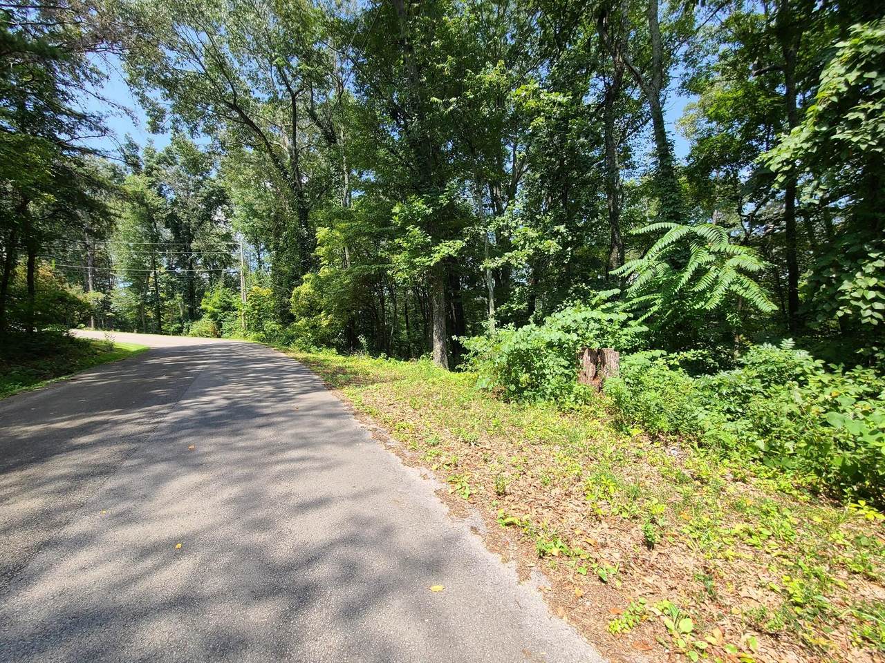 Lot 3 Pine Breeze Circle - Photo 1