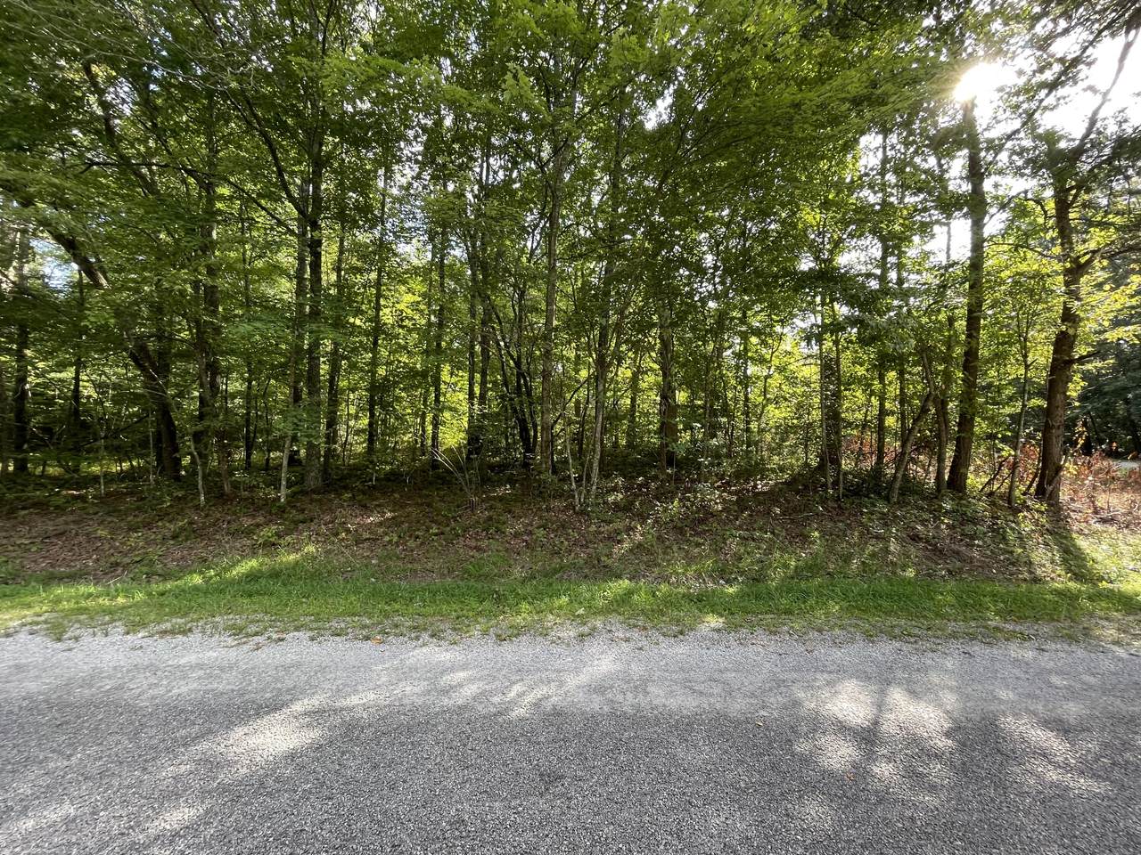 169 Hawes Circle - Photo 1