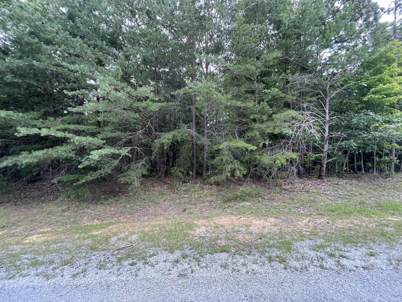 11 Ivydale Lane - Photo 1
