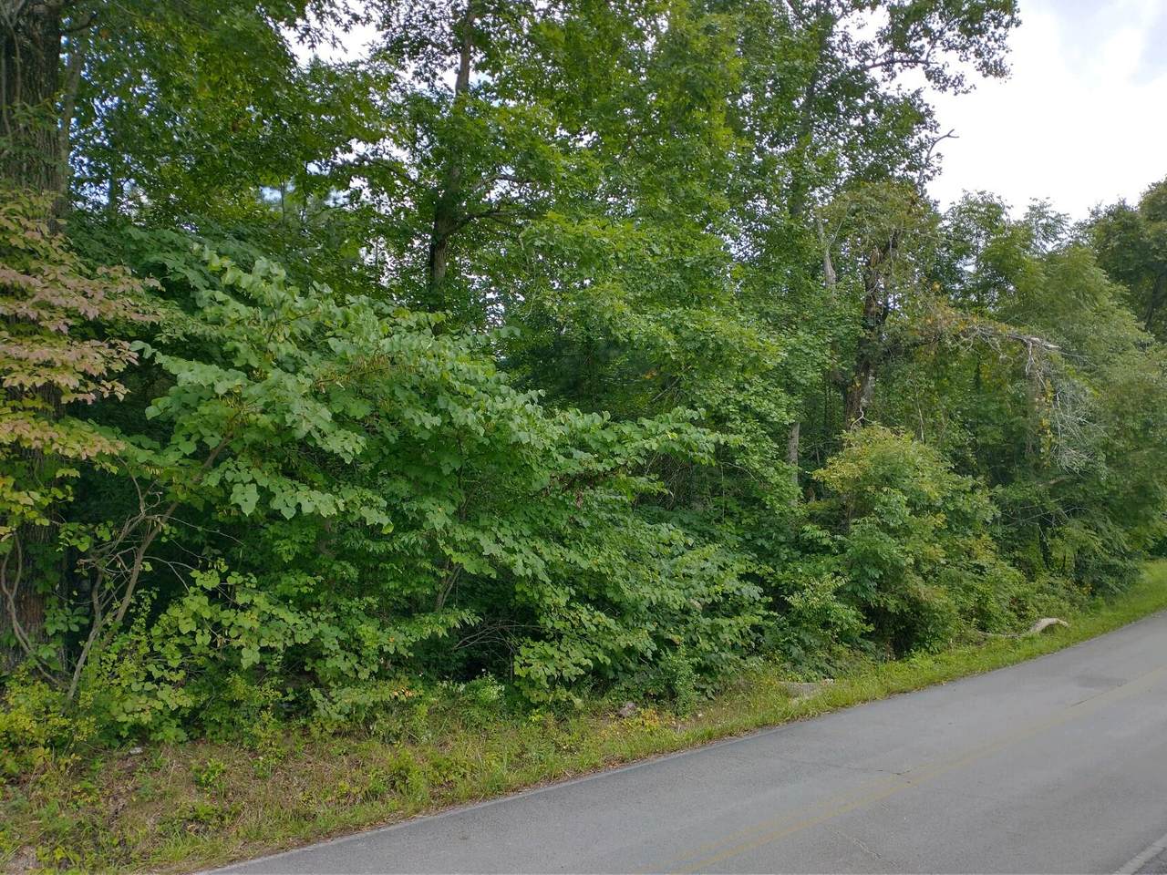 Fred Tollett Rd - Photo 1