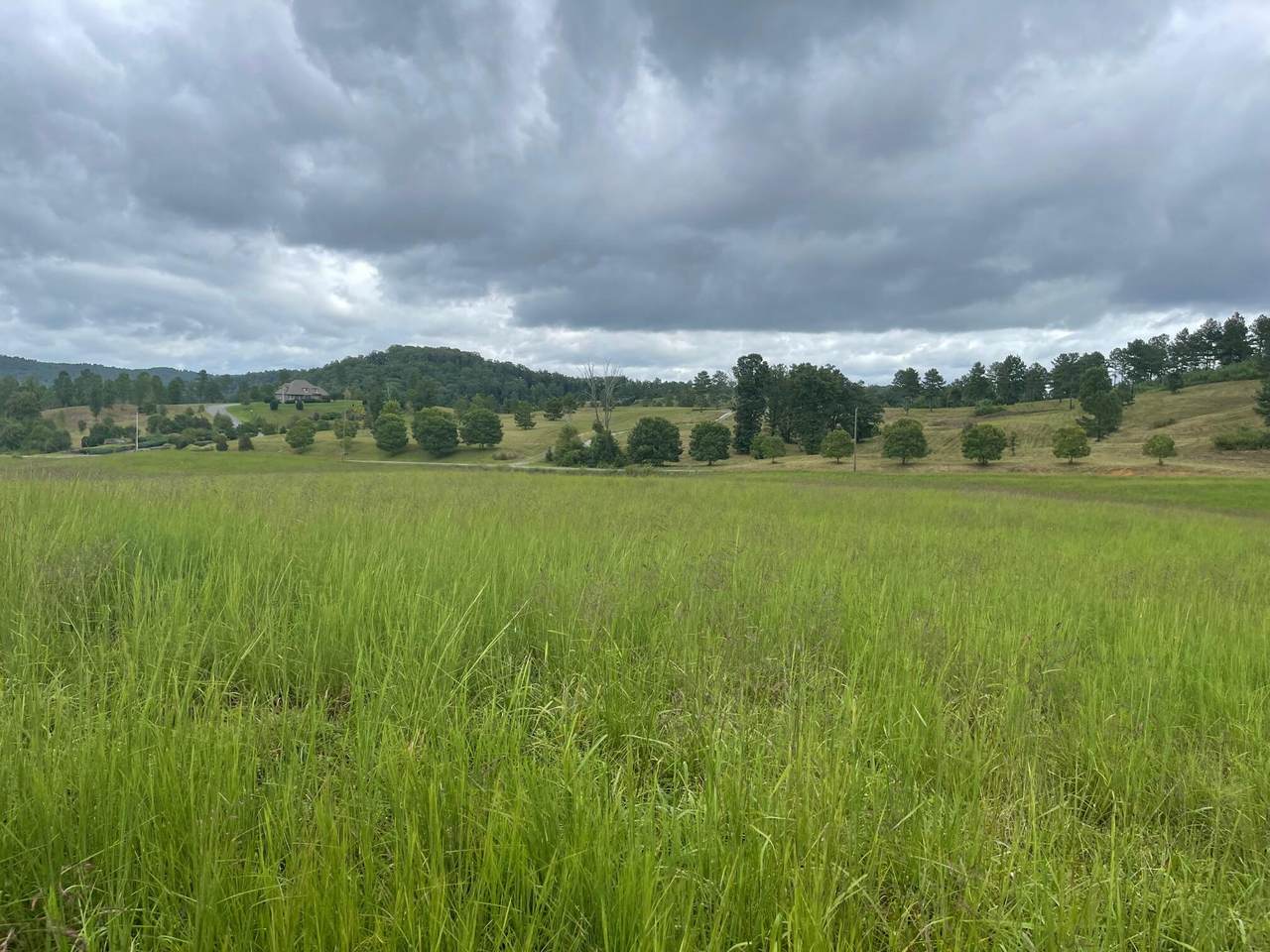 4199 Huffine Rd - Photo 1