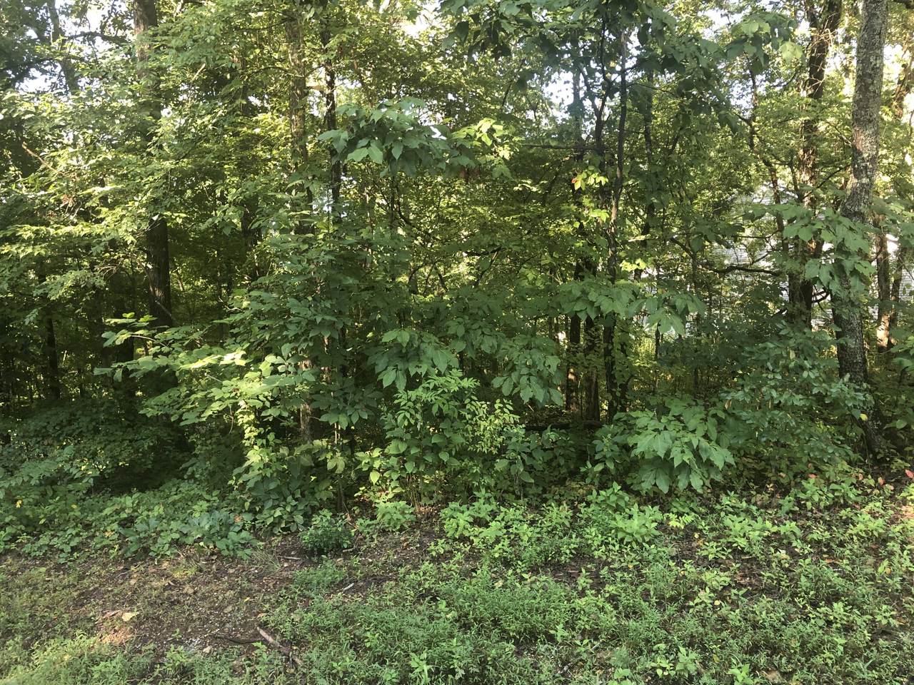 203 Amohi Way - Photo 1