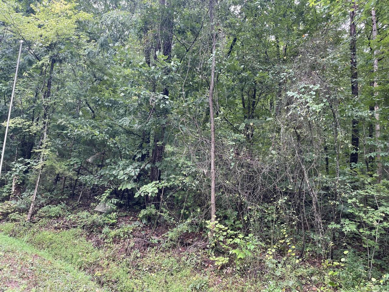 192 Old Spencer Rd - Photo 1